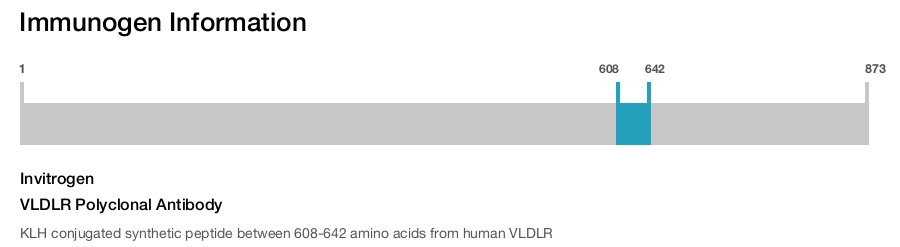 VLDLR Polyclonal Antibody