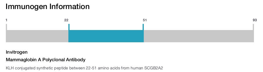 Mammaglobin A Polyclonal Antibody