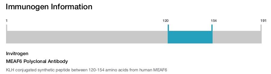 MEAF6 Polyclonal Antibody