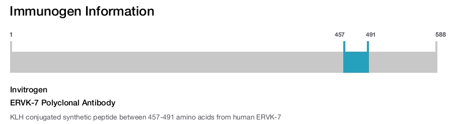 ERVK-7 Polyclonal Antibody