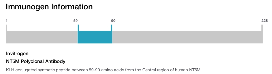 NT5M Polyclonal Antibody