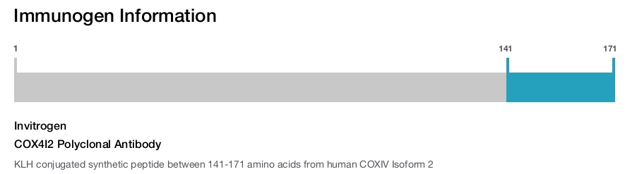 COX4I2 Polyclonal Antibody