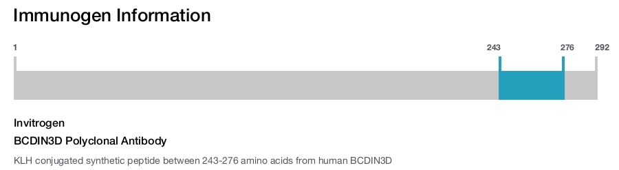 BCDIN3D Polyclonal Antibody