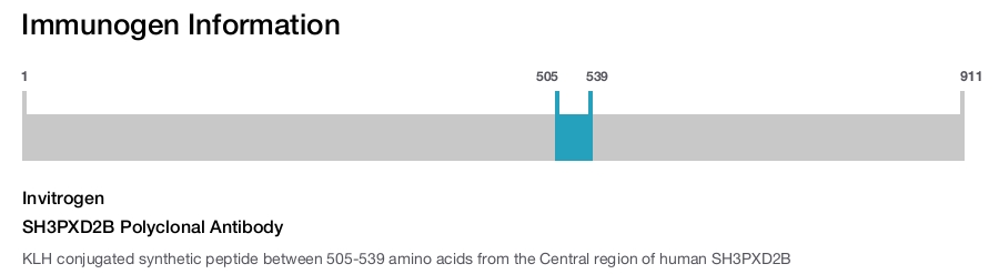 SH3PXD2B Polyclonal Antibody