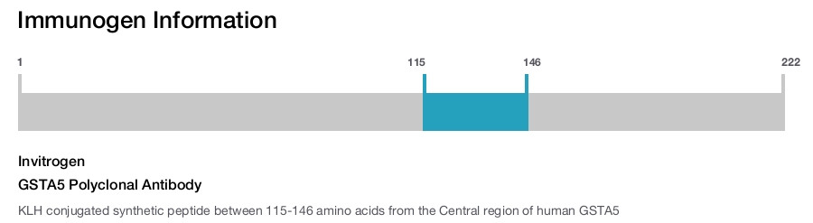 GSTA5 Polyclonal Antibody