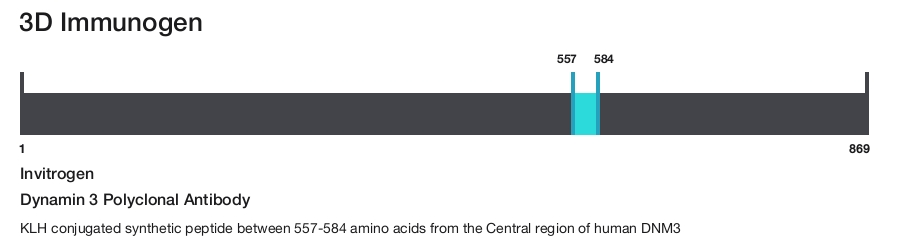 Dynamin 3 Polyclonal Antibody