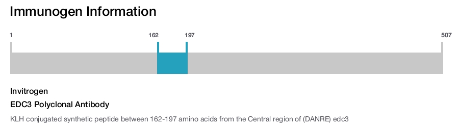 EDC3 Polyclonal Antibody