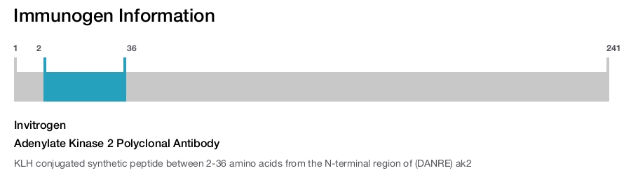 Adenylate Kinase 2 Polyclonal Antibody