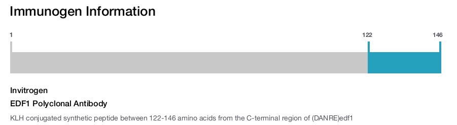 EDF1 Polyclonal Antibody