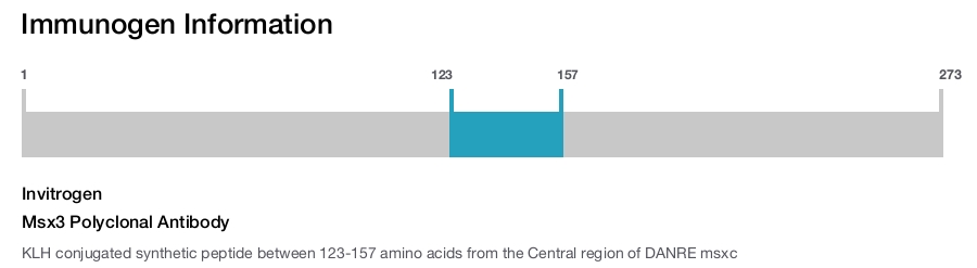 Msx3 Polyclonal Antibody