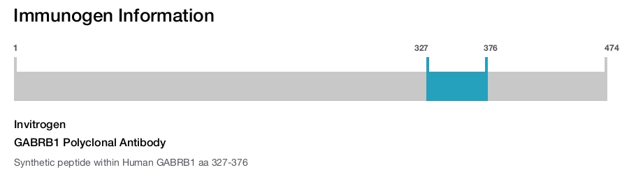 GABRB1 Polyclonal Antibody