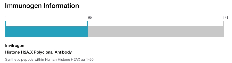 Histone H2A.X Polyclonal Antibody