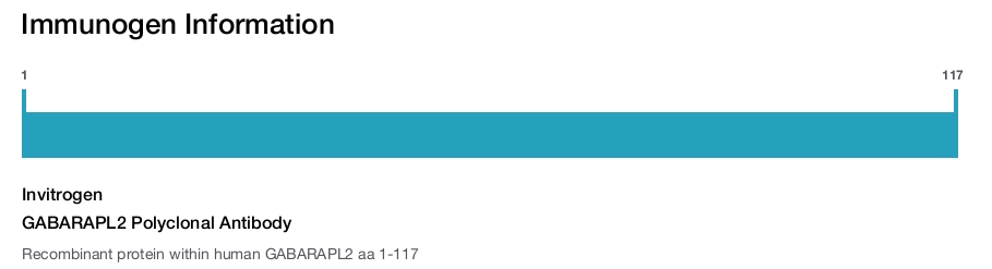 GABARAPL2 Polyclonal Antibody