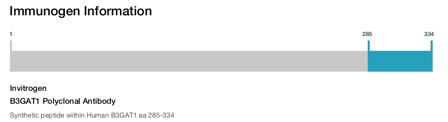 B3GAT1 Polyclonal Antibody