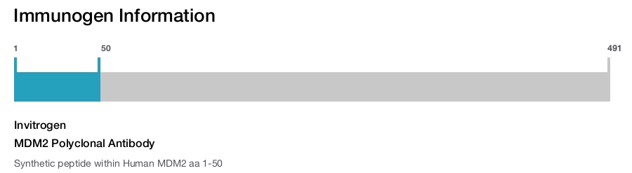 MDM2 Polyclonal Antibody