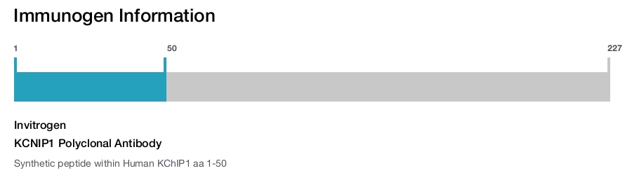 KCNIP1 Polyclonal Antibody