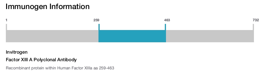 Factor XIII A Polyclonal Antibody