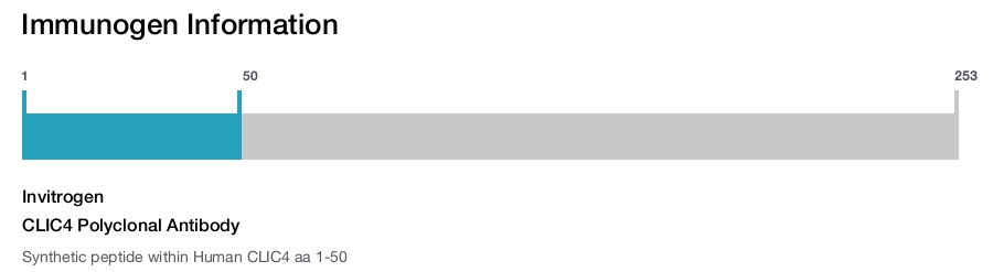 CLIC4 Polyclonal Antibody