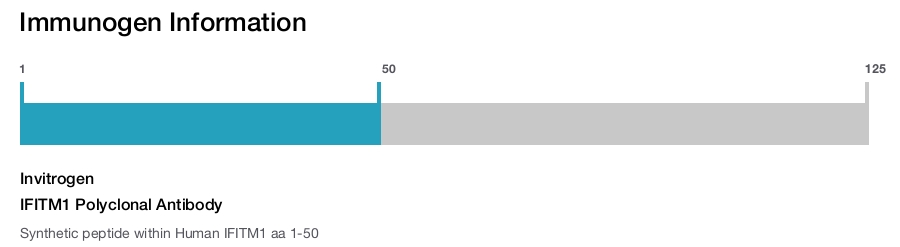 IFITM1 Polyclonal Antibody