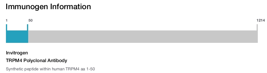 TRPM4 Polyclonal Antibody