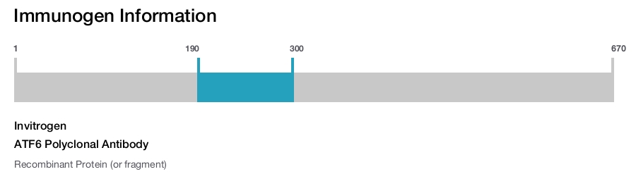 ATF6 Polyclonal Antibody