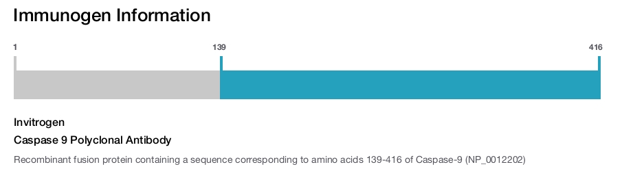 Caspase 9 Polyclonal Antibody