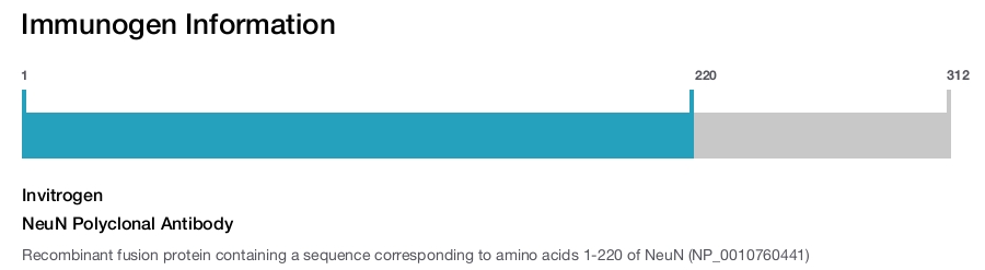 NeuN Polyclonal Antibody