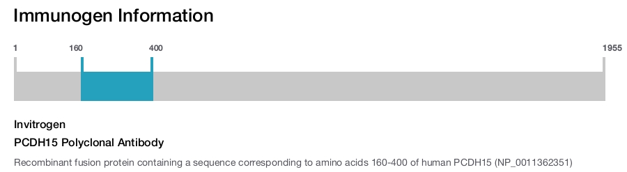 PCDH15 Polyclonal Antibody