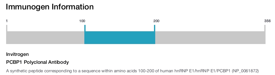 PCBP1 Polyclonal Antibody