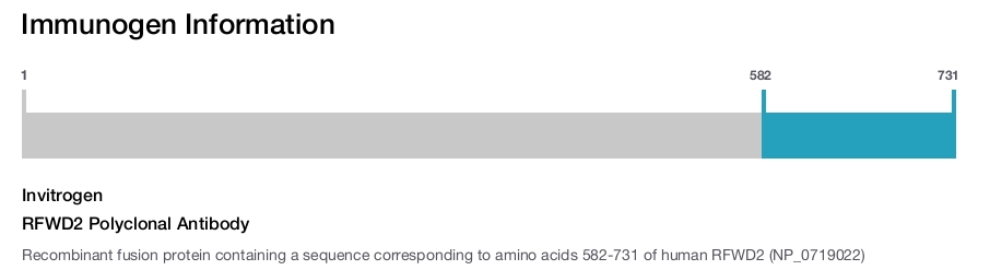 RFWD2 Polyclonal Antibody