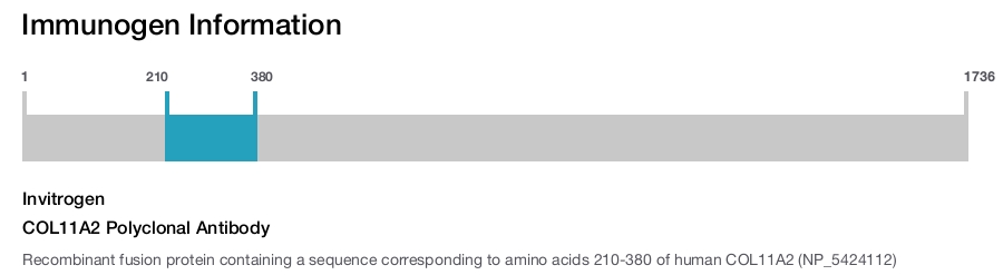 COL11A2 Polyclonal Antibody