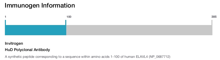 HuD Polyclonal Antibody