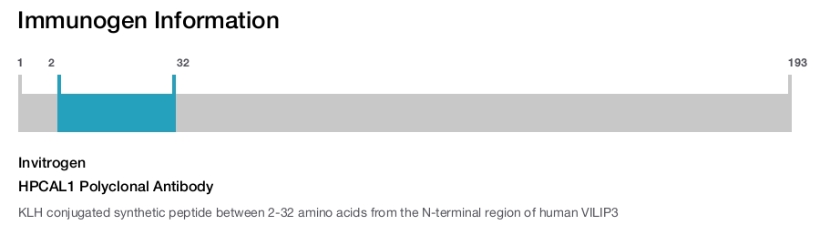 HPCAL1 Polyclonal Antibody