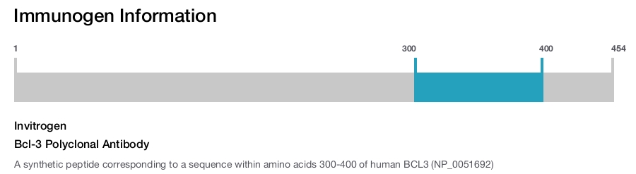 Bcl-3 Polyclonal Antibody