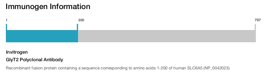 GlyT2 Polyclonal Antibody