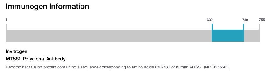 MTSS1 Polyclonal Antibody