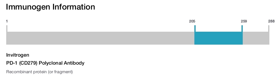 PD-1 (CD279) Polyclonal Antibody