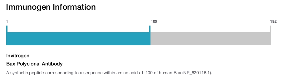 Bax Polyclonal Antibody