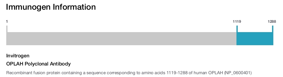 OPLAH Polyclonal Antibody