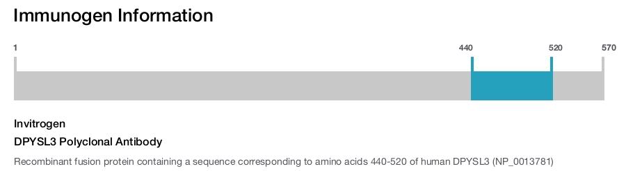 DPYSL3 Polyclonal Antibody