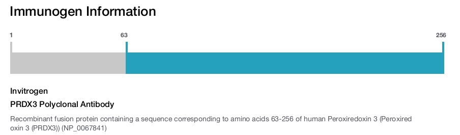 PRDX3 Polyclonal Antibody