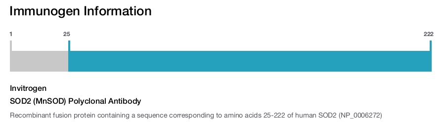 SOD2 (MnSOD) Polyclonal Antibody