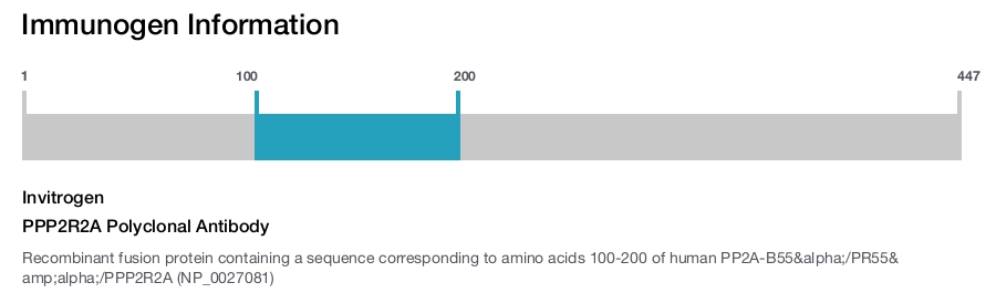 PPP2R2A Polyclonal Antibody