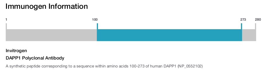 DAPP1 Polyclonal Antibody