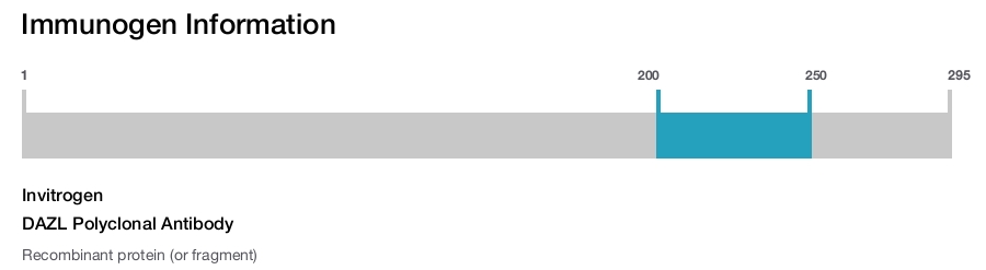DAZL Polyclonal Antibody