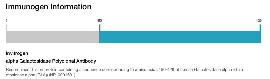 alpha Galactosidase Polyclonal Antibody