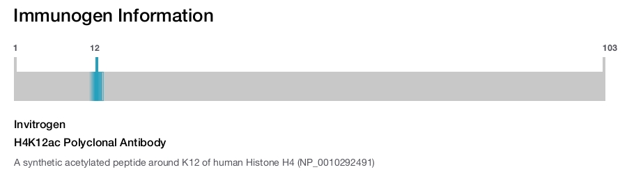 H4K12ac Polyclonal Antibody
