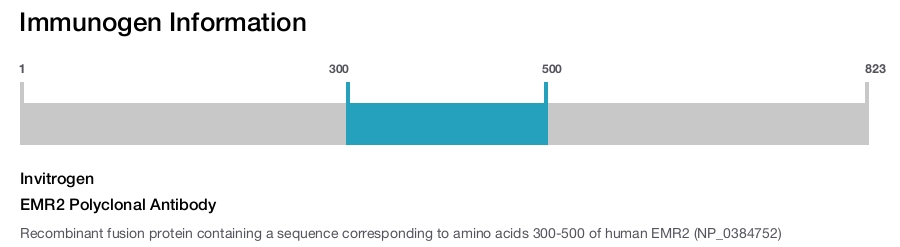 EMR2 Polyclonal Antibody