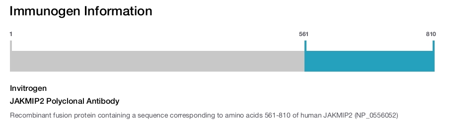 JAKMIP2 Polyclonal Antibody