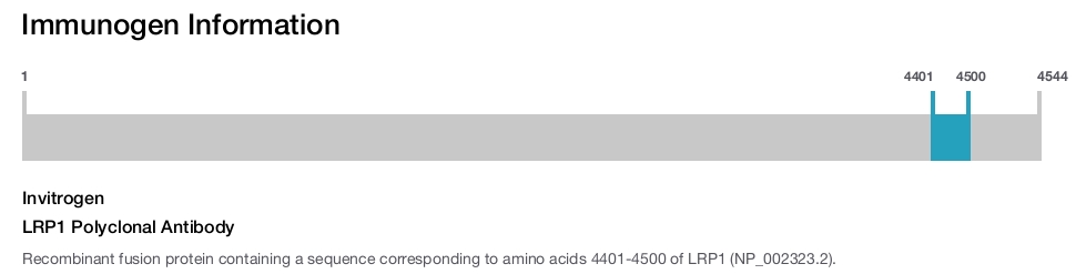 LRP1 Polyclonal Antibody